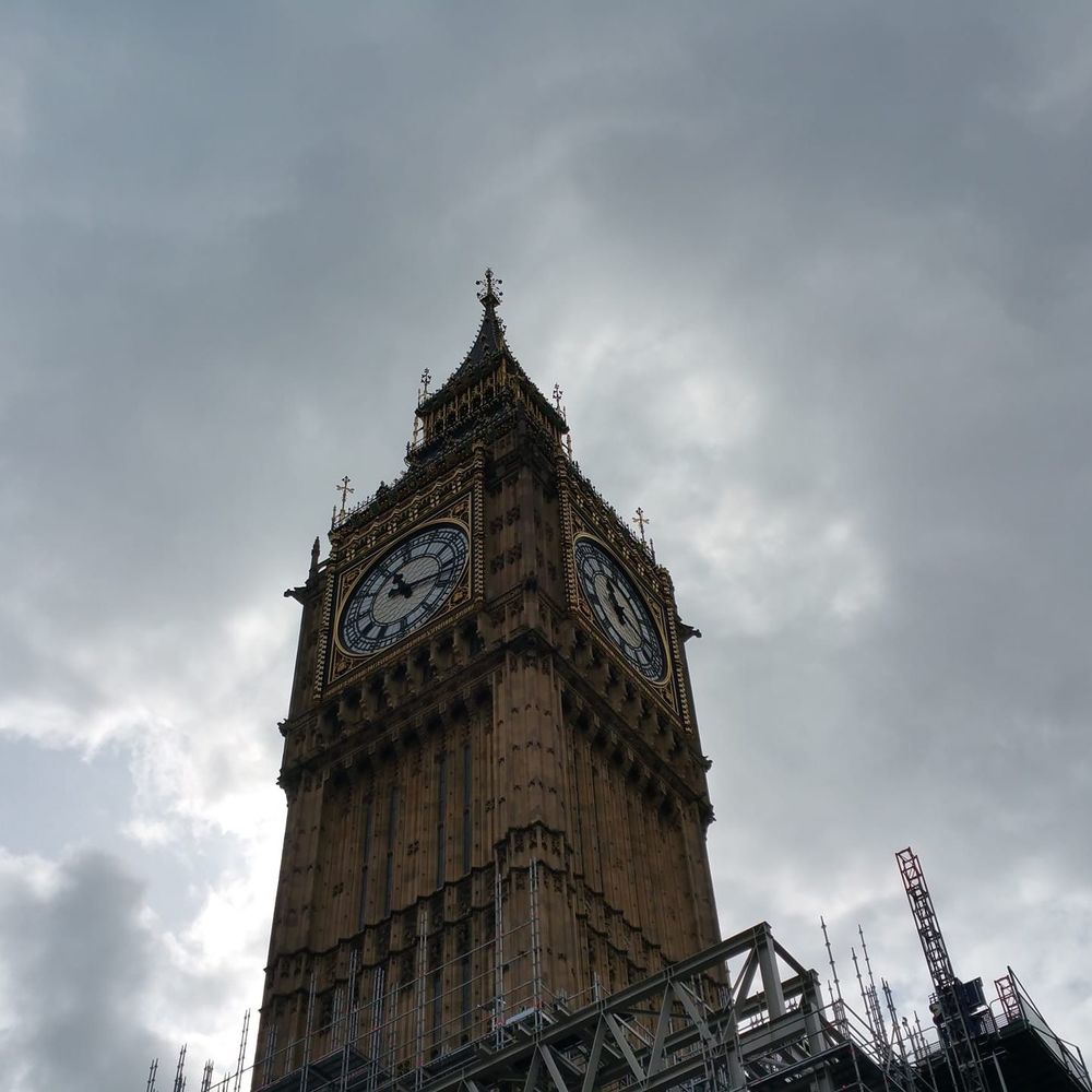 Meet your Posher, Roxann